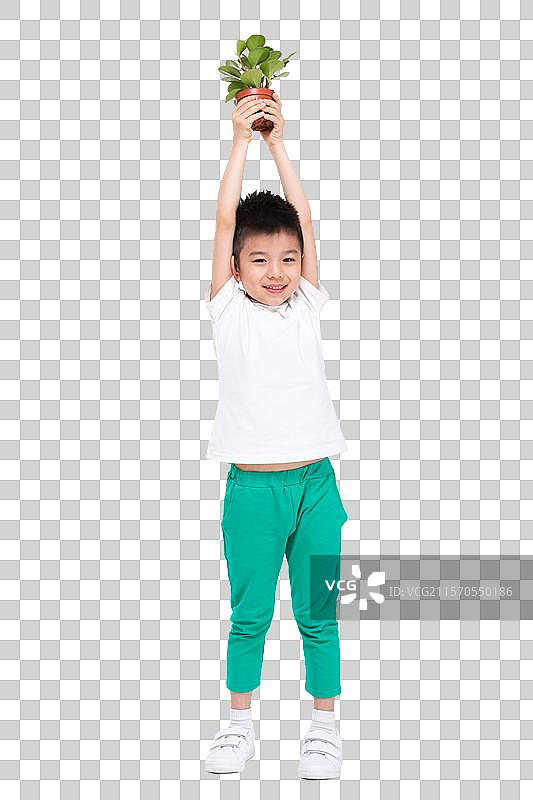 拿着绿色盆栽植物的小男孩图片素材