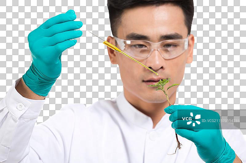 男科学家研究观察植物幼苗图片素材