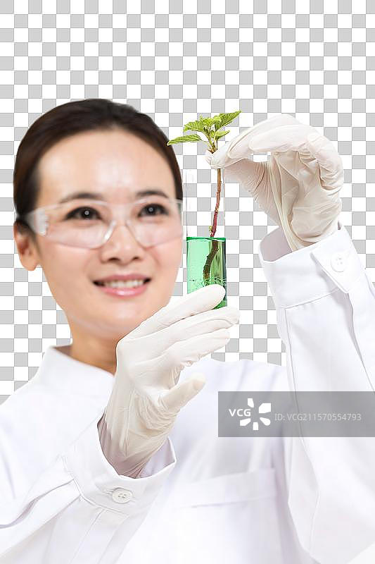 女科学家研究观察试管中的植物图片素材