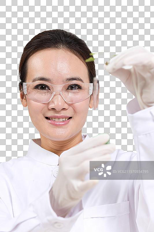 女科学家研究观察试管中的植物图片素材