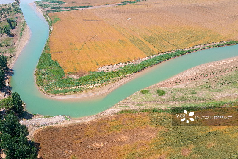 河南焦作黄河沁河两岸风景、夏季麦田丰收景象、沁河入黄河口图片素材