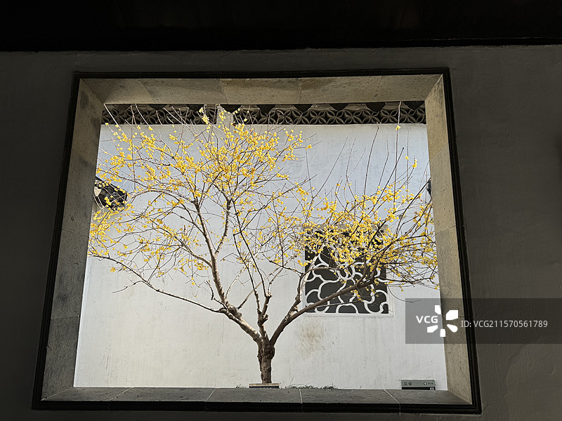 苏州拙政园图片素材