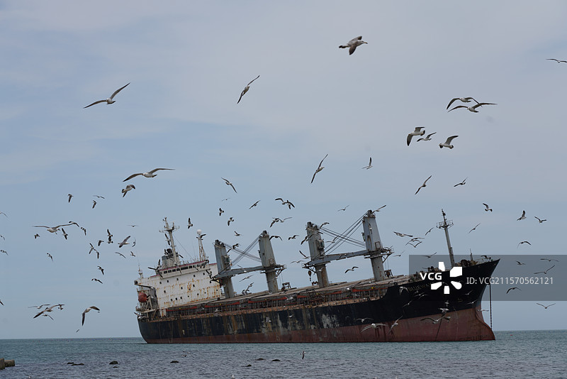 威海 海鸥 布鲁维斯号沉船图片素材
