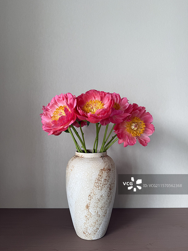 芍药静物图片素材