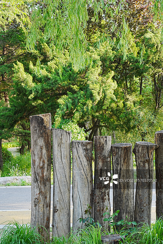 公园里的树木段做的围档图片素材