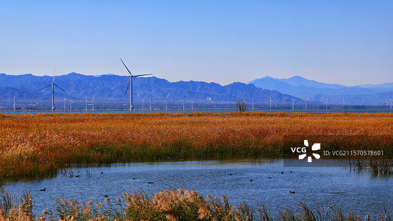 野鸭湖湿地公园图片素材