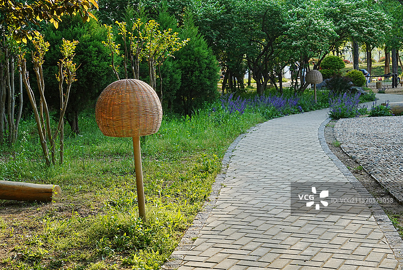 市民公园中的野趣小路图片素材