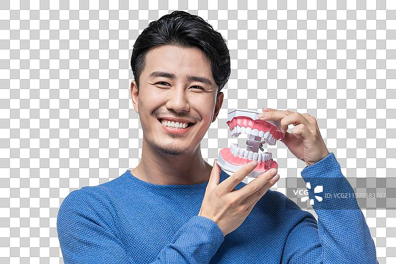 年轻男子拿着牙齿模型图片素材