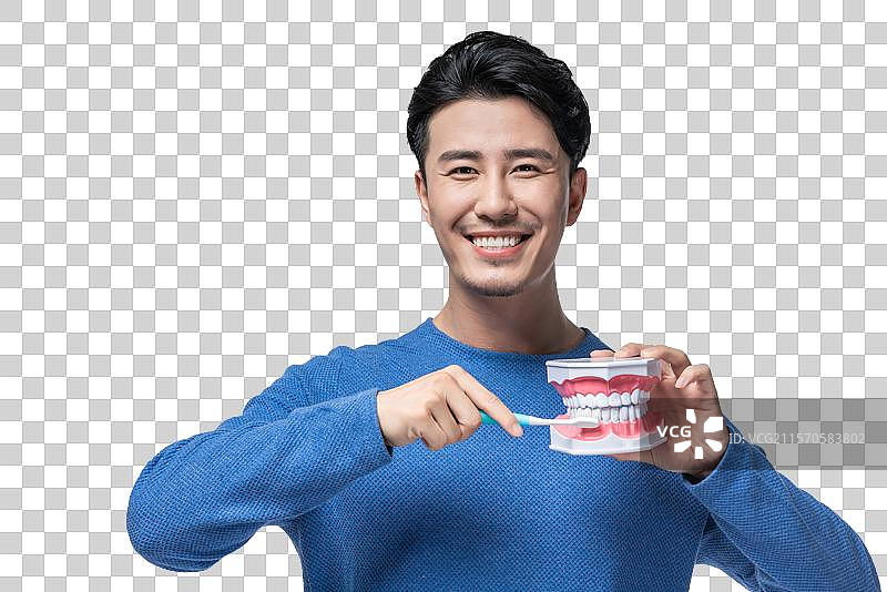 年轻男子拿着牙齿模型图片素材
