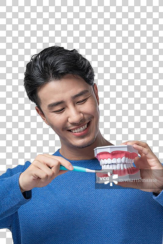 年轻男子拿着牙齿模型图片素材