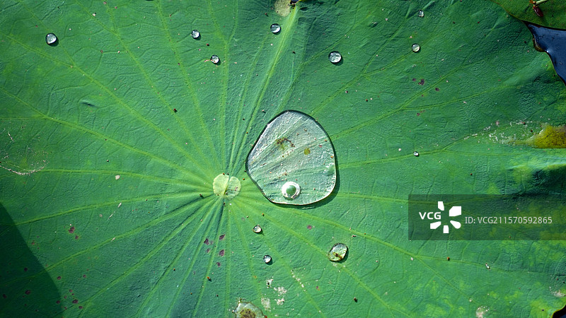 绍兴兰亭：一滴知夏图片素材