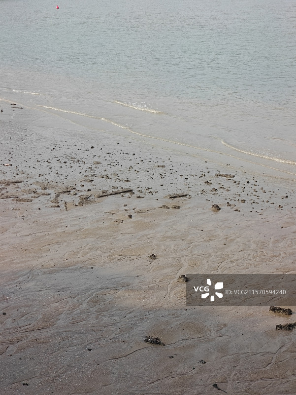 退潮之后的鼓浪屿滩涂图片素材