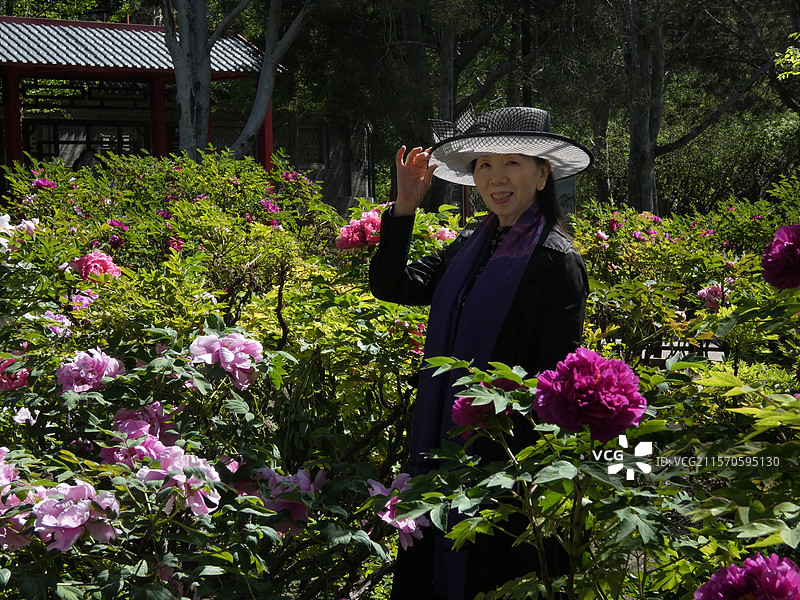 牡丹盛放，花瓣层叠饱满，尽显雍容华贵之态。粉嫩娇艳，花瓣层层舒展，于翠绿叶片衬托下，尽显国色天香之姿图片素材