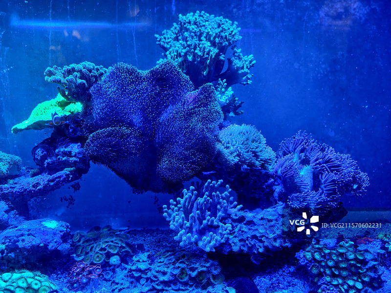 广西自然资源博物馆水族馆图片素材