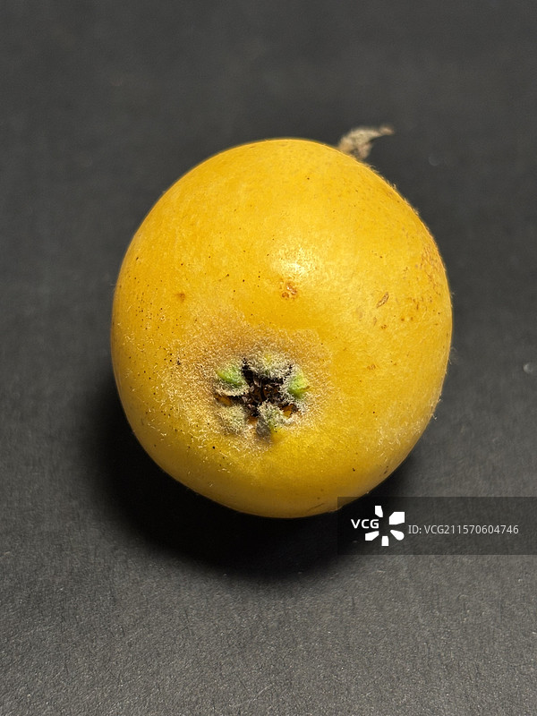 宁海白枇杷图片素材