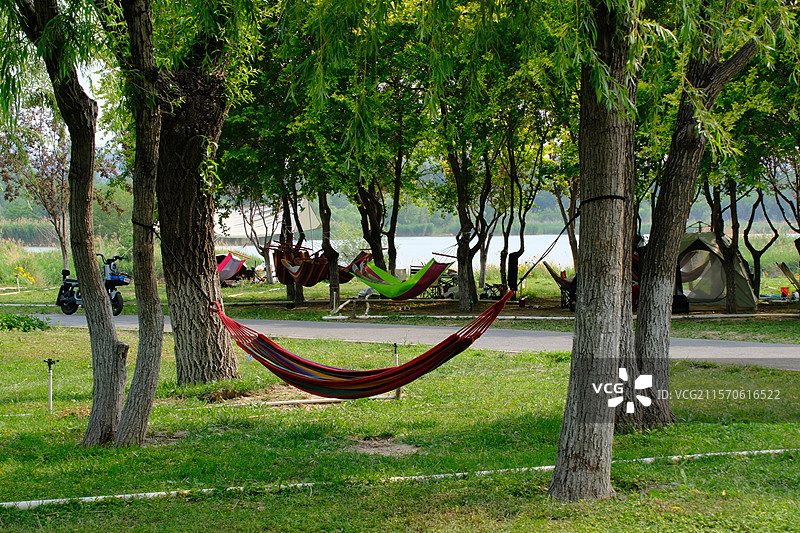 夏天绿草地露营野营野餐。吊床。高清风景。高清背景图。自然风光图片素材