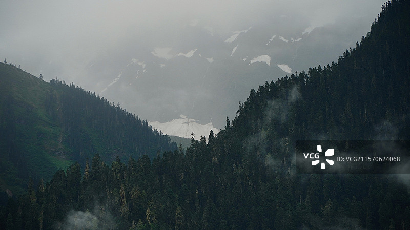 西藏林芝巴宜区的鲁朗林海景区和雪山图片素材