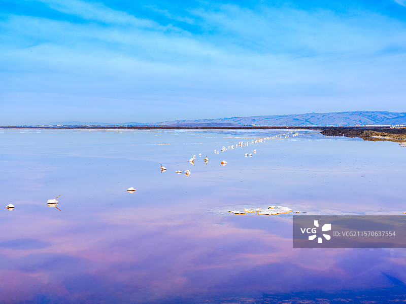 加州硅谷圣何塞纯净蓝天盐湖自然风光背景图图片素材