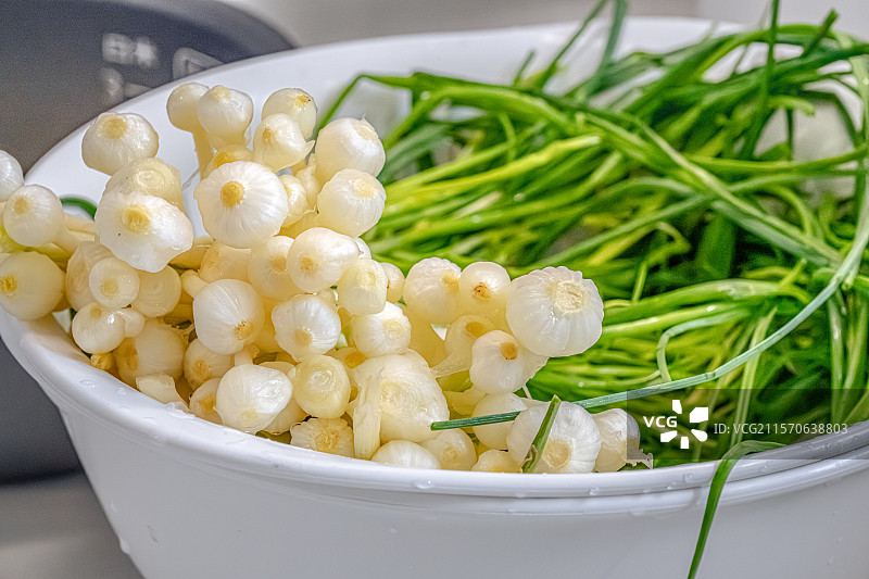 薤白 野葱 像葱一样的香辛料 石蒜科植物 小根蒜的鳞茎 须根 植物特写 健脾理气中药材图片素材