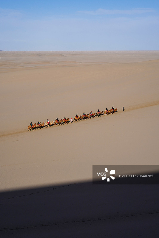 沙漠中前行的骆驼图片素材