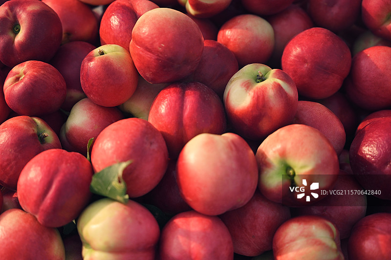 农业强国夏季油桃丰收特写图片素材