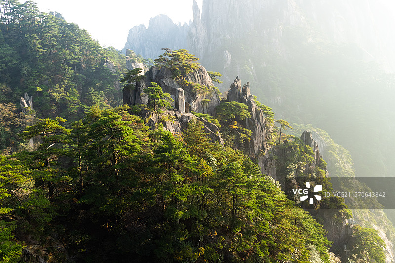 中国安徽省黄山市黄山风景区，白鹅岭、始信峰，世界地质公园，高山自然风景图片素材