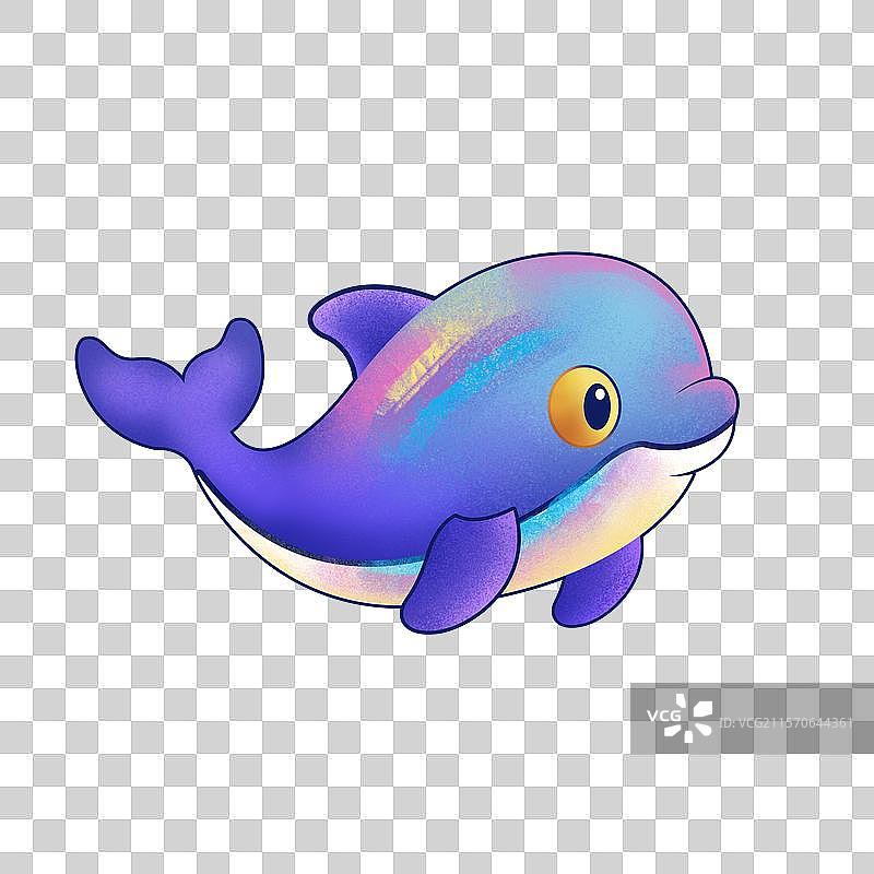 一只可爱的海豚图片素材