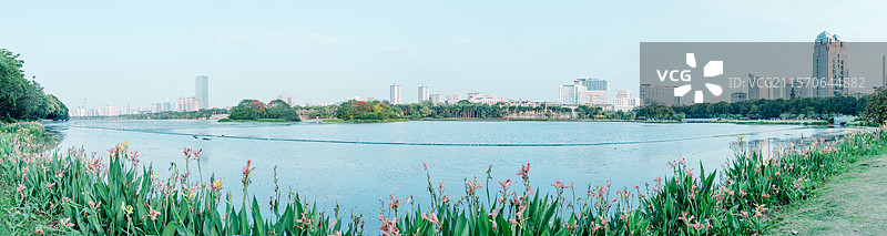 南宁南湖公园花园鲜花与滨湖城市全景长图图片素材