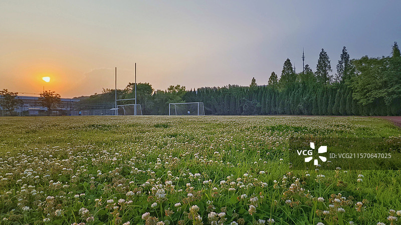 南京体育运动学校的绿茵操场图片素材