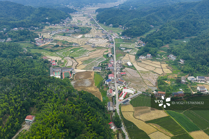 稻田与村庄的和谐共生图片素材