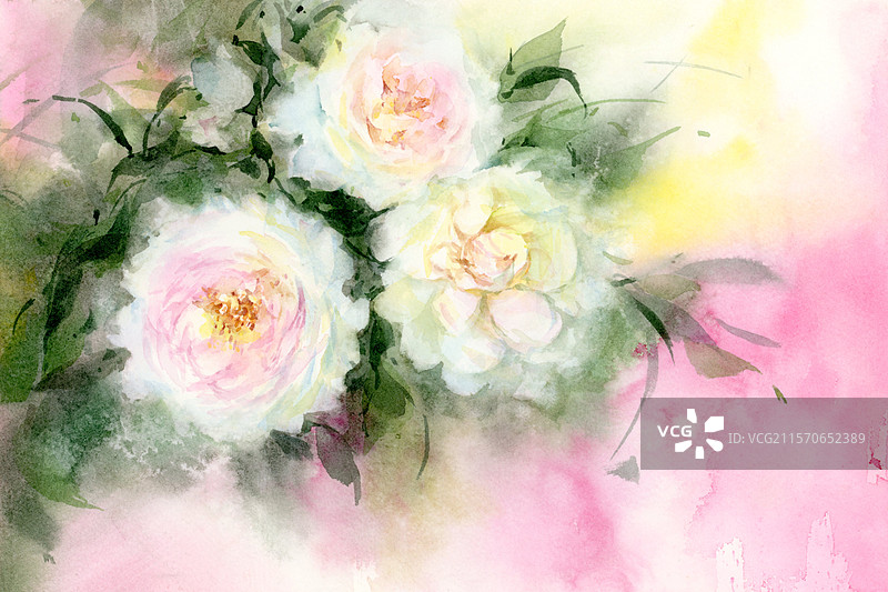 月季玫瑰蔷薇花纸上手绘水彩画淡彩梦幻图片素材