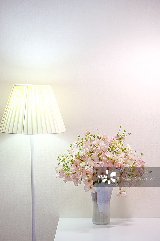 粉色单瓣蝴蝶洋牡丹图片素材