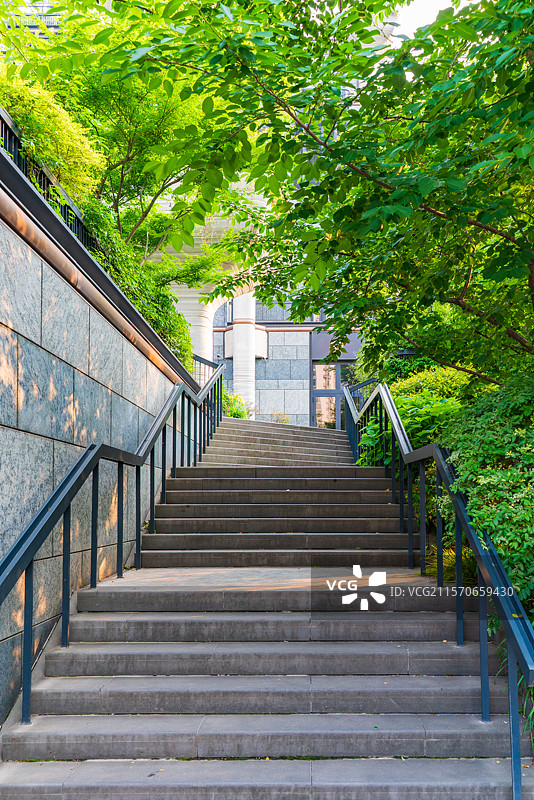绿树环绕的空的楼梯台阶通道 林荫小路图片素材