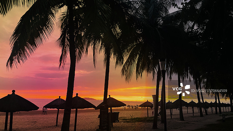 傍晚时分的椰林海滩图片素材