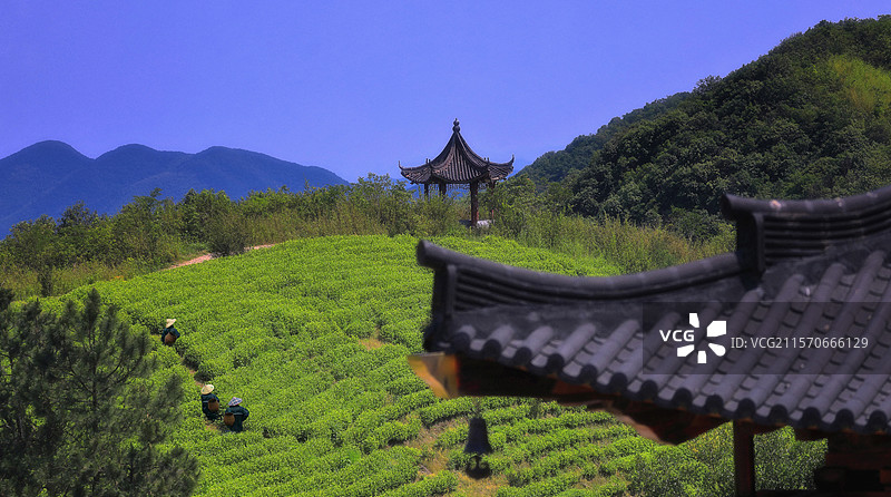 霞幕山云林禅寺图片素材