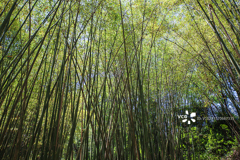张澜故居图片素材