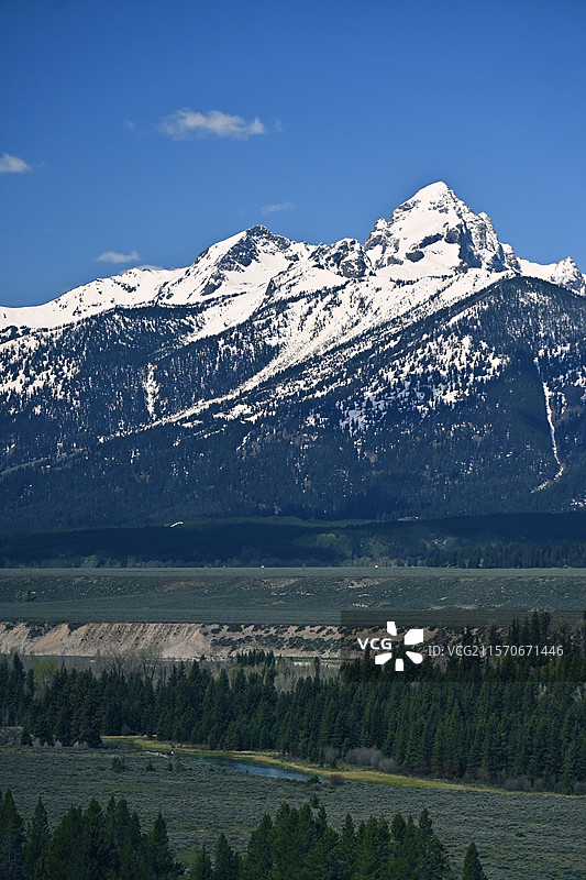 美国黄石公园+大提顿国家公园-喷泉雪山地热湖泊森林等自然景观，野牛野鹿野生狐狸等野生动物图片素材