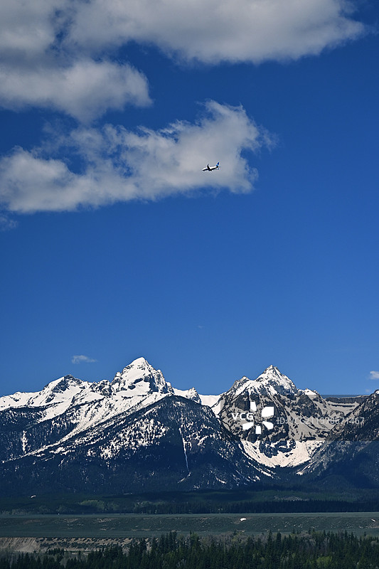 美国黄石公园+大提顿国家公园-喷泉雪山地热湖泊森林等自然景观，野牛野鹿野生狐狸等野生动物图片素材