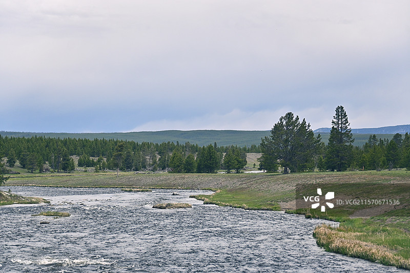 美国黄石公园+大提顿国家公园-喷泉雪山地热湖泊森林等自然景观，野牛野鹿野生狐狸等野生动物图片素材