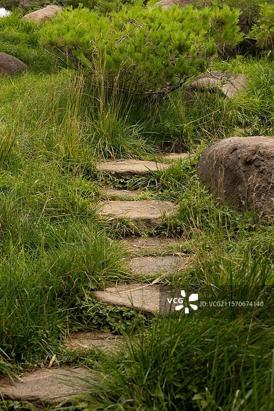 草丛中的古朴石阶小径图片素材