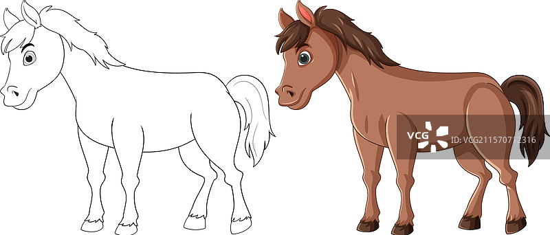 一匹马以彩色和轮廓形式描绘图片素材