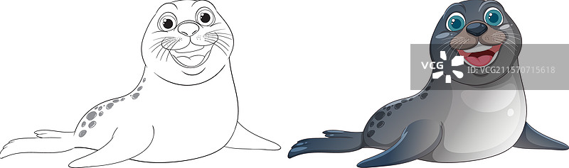 微笑的海豹，包含彩色和轮廓版本图片素材