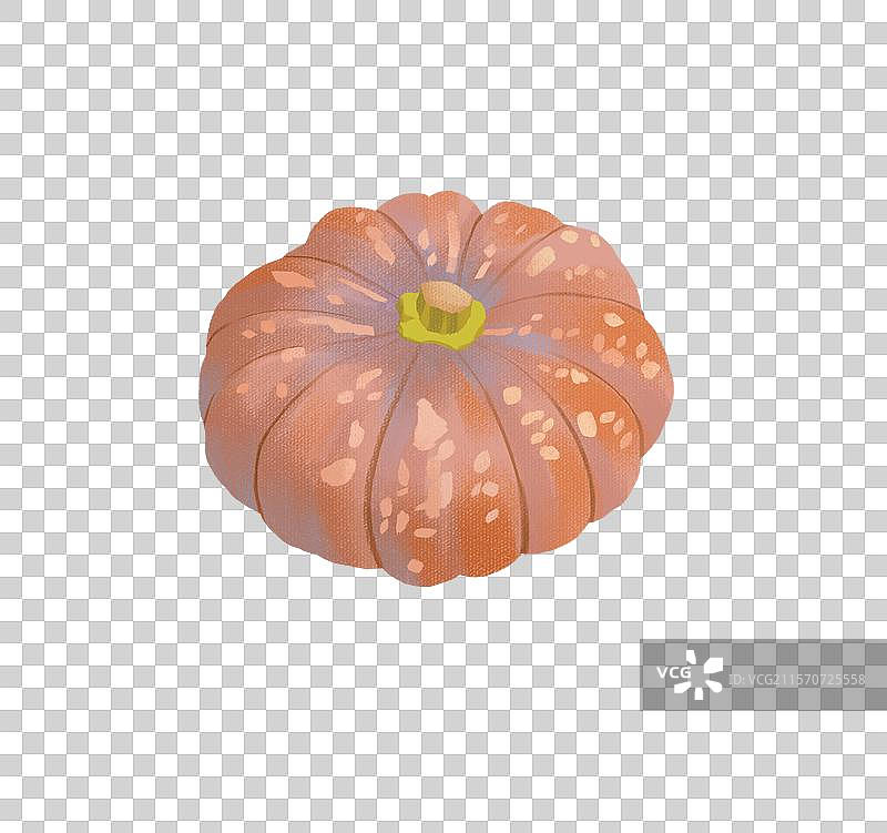 小磨盘南瓜元素图片素材