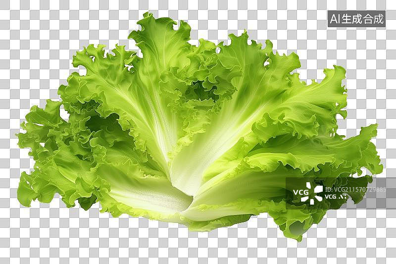 【AI数字艺术】免扣元素一棵娃娃菜图片素材