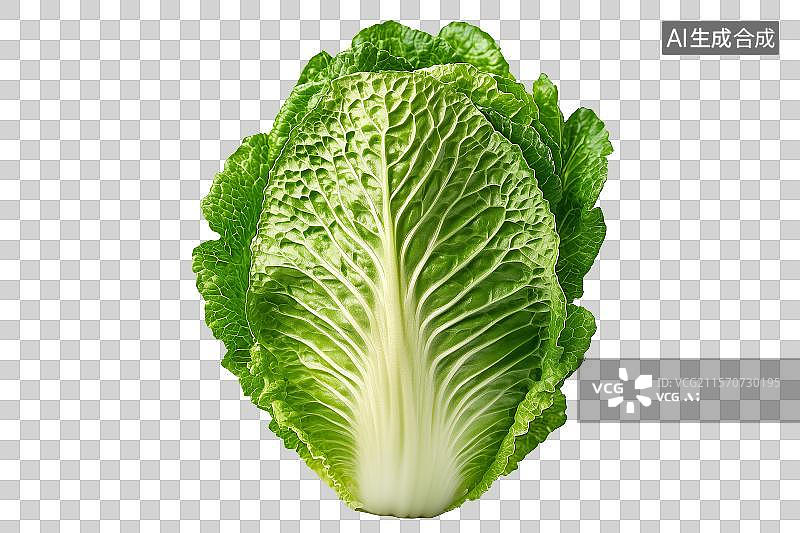 【AI数字艺术】免扣元素一棵白菜图片素材