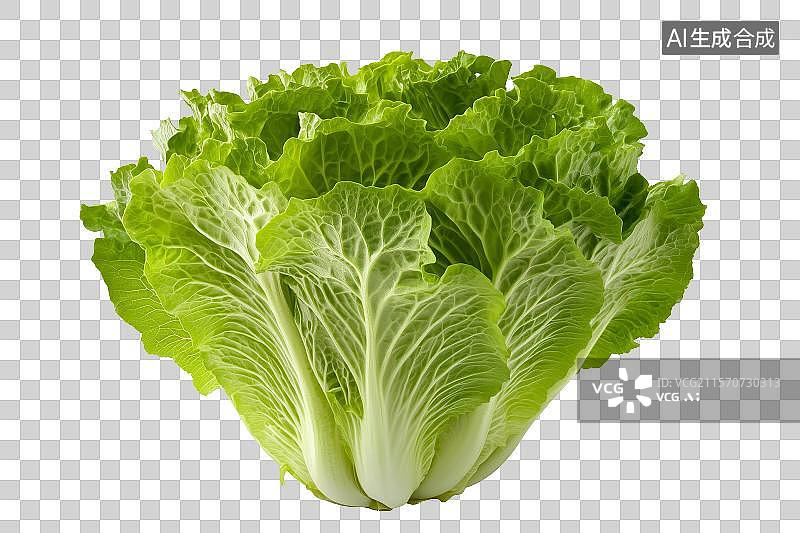【AI数字艺术】免扣元素一棵白菜图片素材