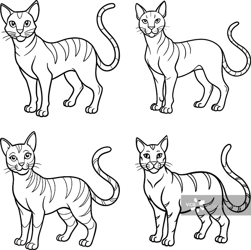 可爱的猫轮廓线条艺术系列图片素材