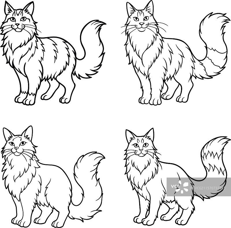 可爱的猫轮廓线条艺术系列图片素材