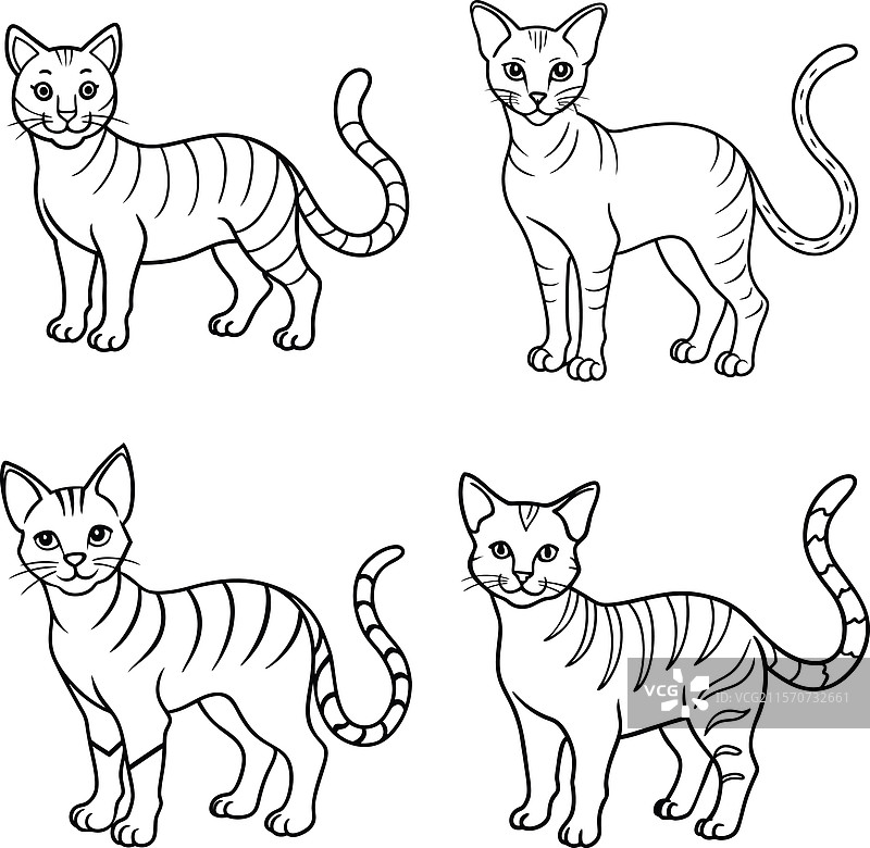 可爱的猫轮廓线条艺术系列图片素材