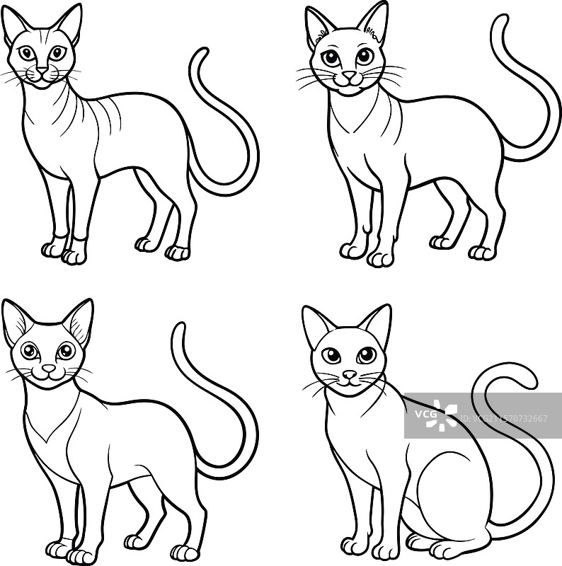 可爱的猫轮廓线条艺术系列图片素材